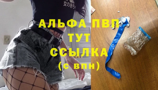 крисы Верея