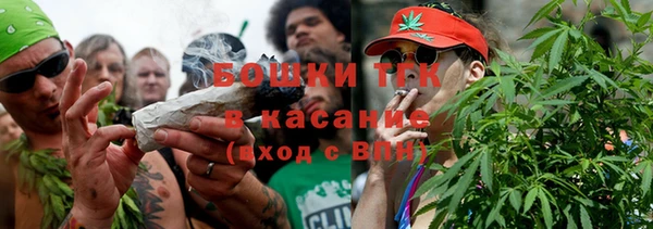 крисы Верея